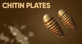 Chitin Plates