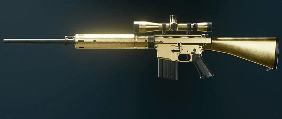 Call of Duty Black Ops 6 rifle camos showcase