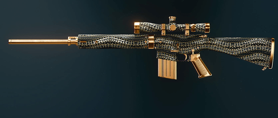 Call of Duty Black Ops 6 rifle camos showcase
