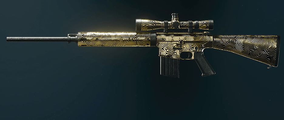 Call of Duty Black Ops 6 rifle camos showcase