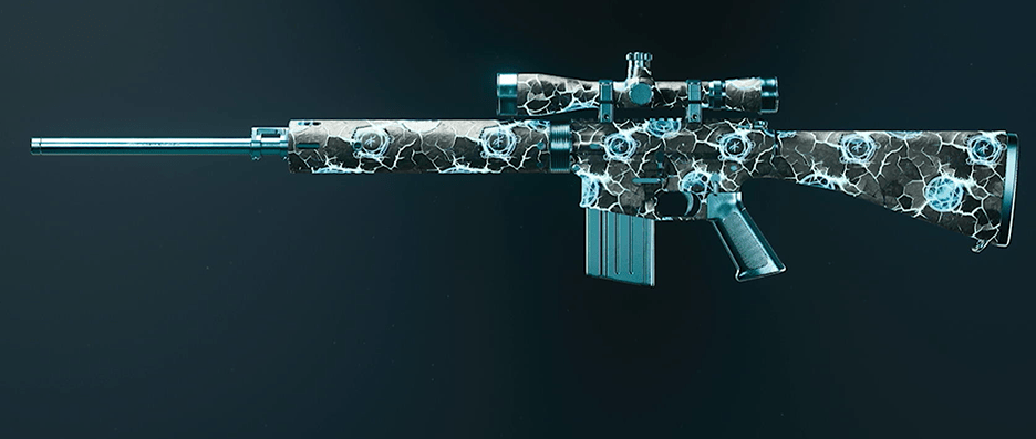 Call of Duty Black Ops 6 rifle camos showcase