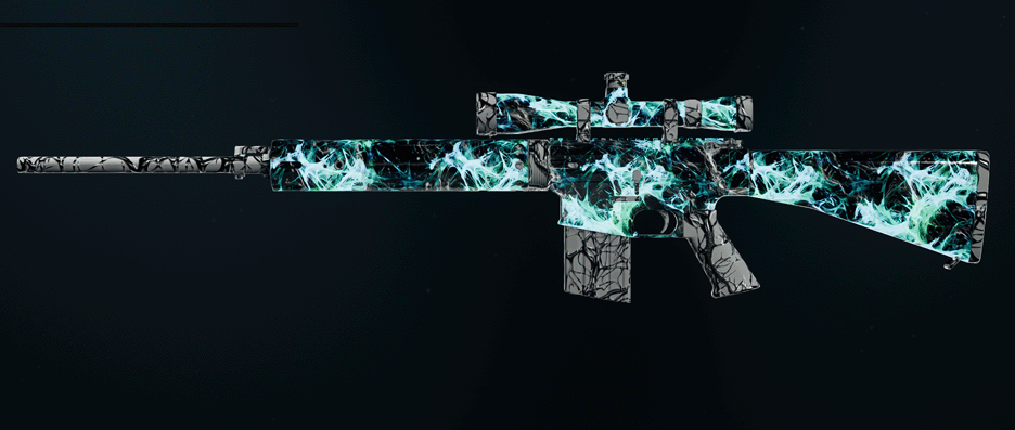 Call of Duty Black Ops 6 rifle camos showcase