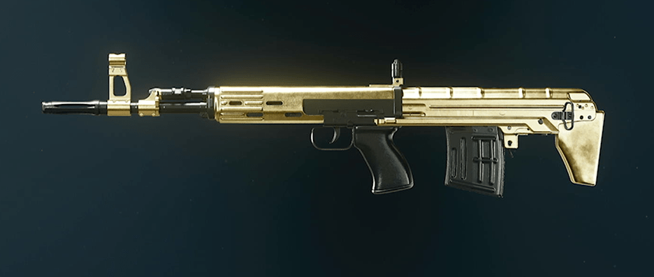Call of Duty Black Ops 6 rifle camos showcase