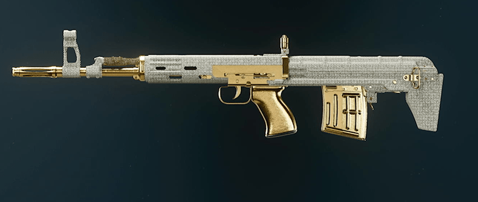 Call of Duty Black Ops 6 rifle camos showcase