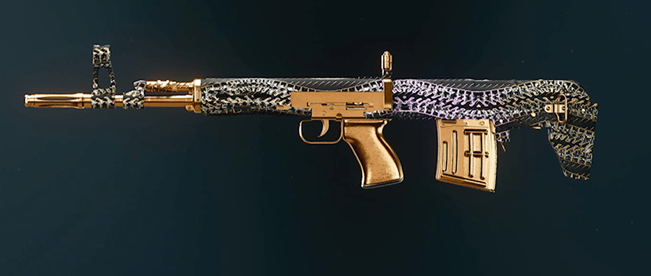 Call of Duty Black Ops 6 rifle camos showcase