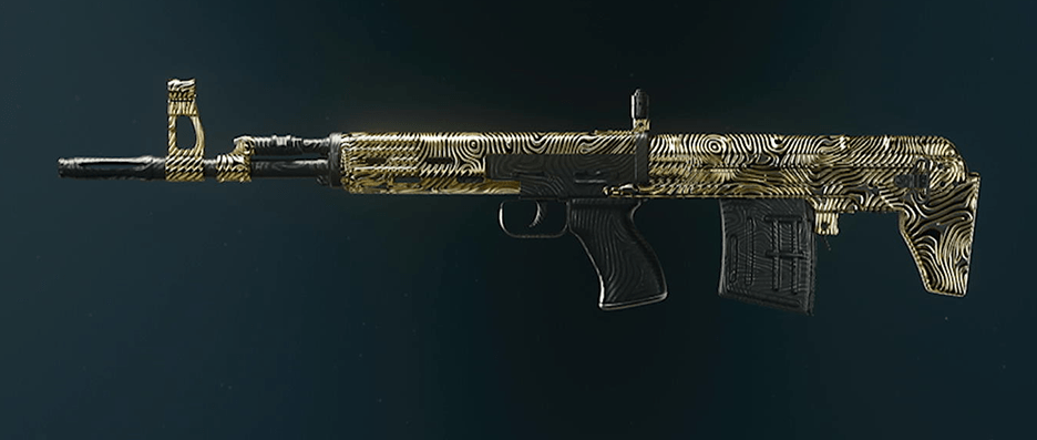 Call of Duty Black Ops 6 rifle camos showcase