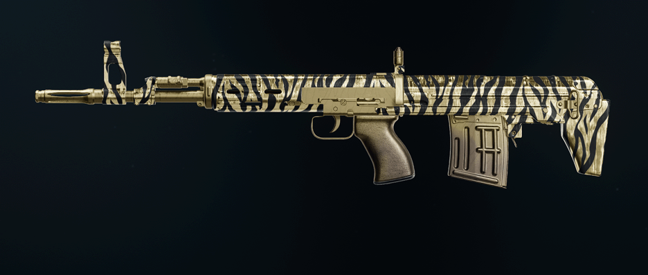 Call of Duty Black Ops 6 rifle camos showcase