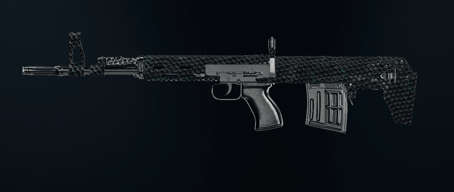 Call of Duty Black Ops 6 rifle camos showcase
