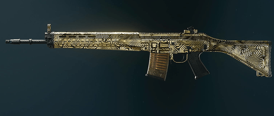 Call of Duty Black Ops 6 rifle camos showcase