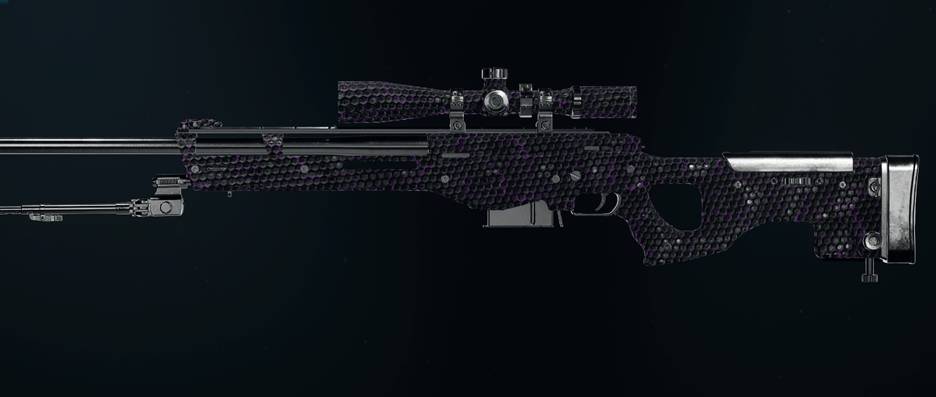 Call of Duty Black Ops 6 sniper rifles with camos