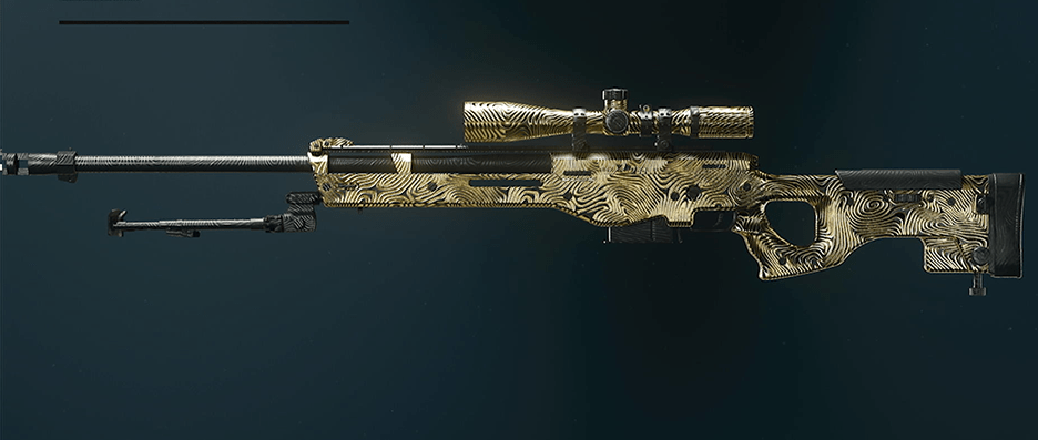Call of Duty Black Ops 6 sniper rifles with camos