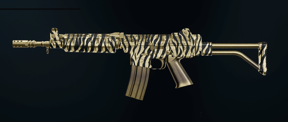 Call of Duty Black Ops 6 AR weapons with camos