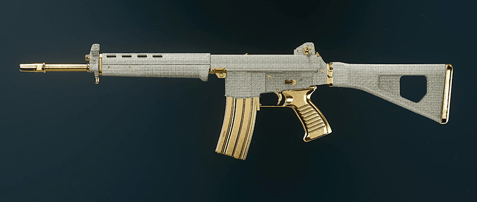 Call of Duty Black Ops 6 AR weapons showcase