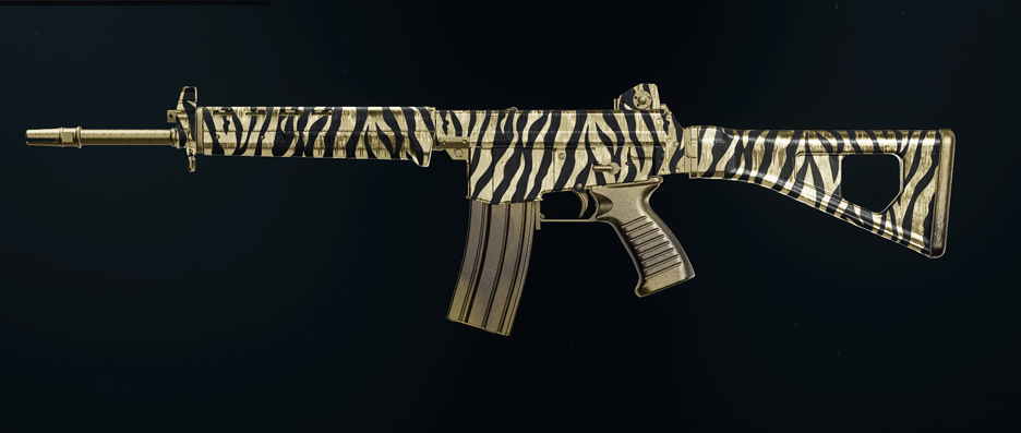 Call of Duty Black Ops 6 AR weapons showcase
