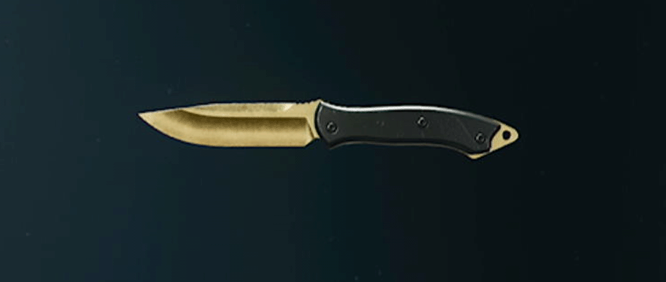 Call of Duty Black Ops 6 melee weapons with camos