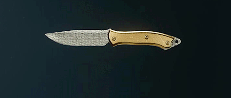 Call of Duty Black Ops 6 melee weapons with camos