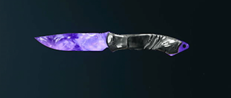 Call of Duty Black Ops 6 melee weapons with camos
