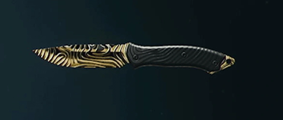 Call of Duty Black Ops 6 melee weapons with camos
