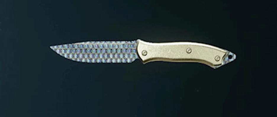 Call of Duty Black Ops 6 melee weapons with camos