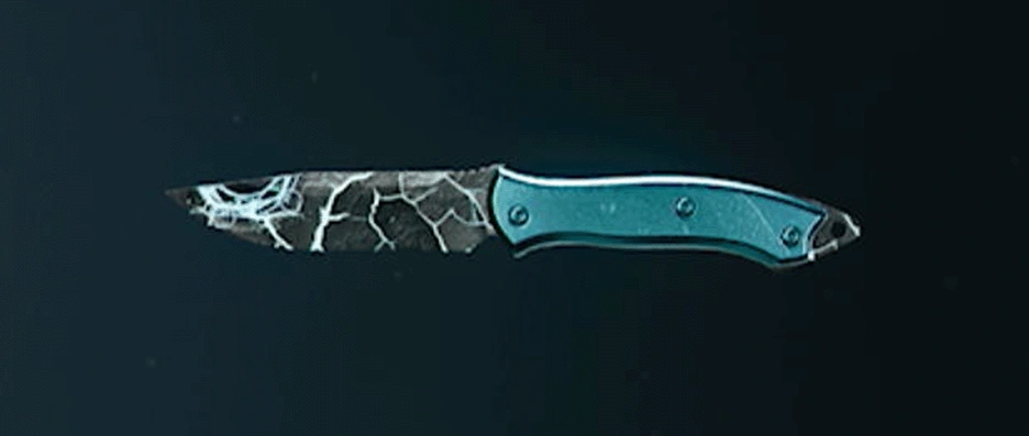 Call of Duty Black Ops 6 melee weapons with camos