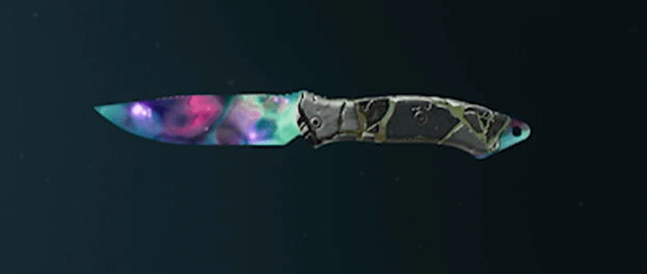 Call of Duty Black Ops 6 melee weapons with camos
