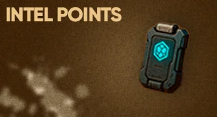 Intel Points
