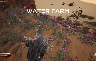 Water Farm
