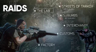 Raids